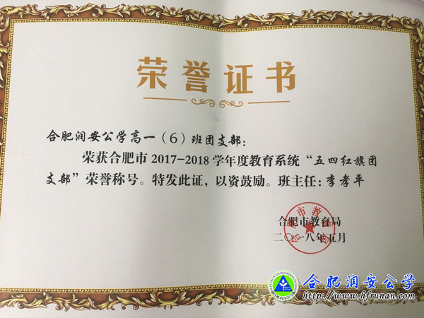 我校团组织在市级评优中喜获多项荣誉