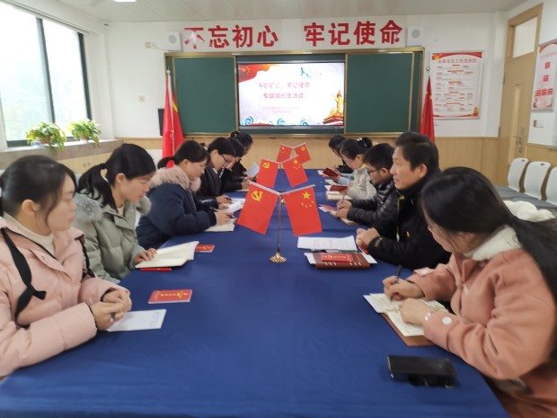 合肥润安公学党支部召开组织生活会和民主评议党员大会