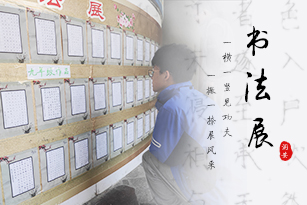 一横一竖见功夫，一撇一捺展风采