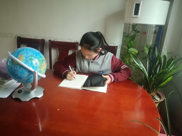 停课不停学  在线学习忙