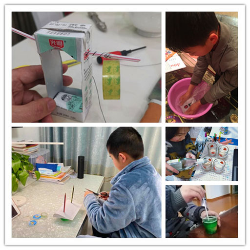 停课不停学，自主探究忙