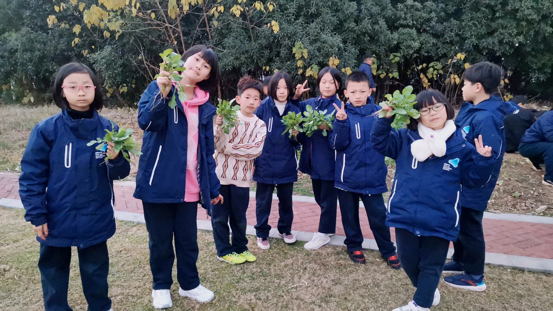 奇妙的农作物种植探索之旅