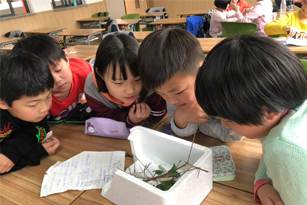美育TP课程探索自然——养蚕笔记