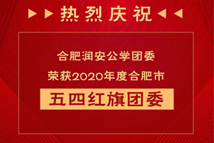我校荣获合肥市2020年度五四红旗团委