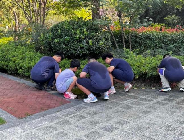 志愿服务绘秋景，汗水浇灌爱国心     ——初中部爱国主义教育系列活动之八年级“清洁家园”活动纪实