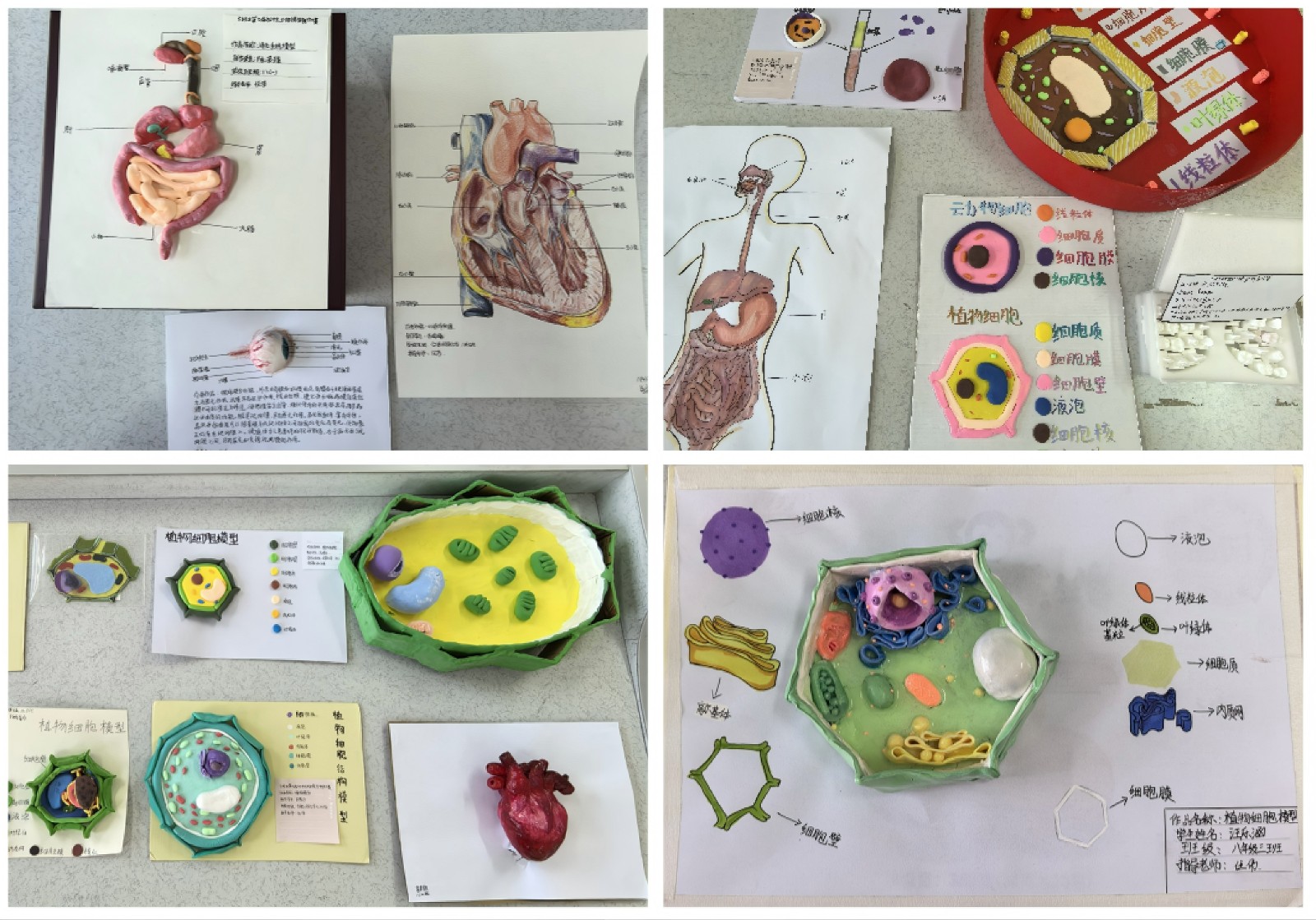 file___media_Photo_5927_IMG_1761643258_5793_IMG_20251028_171917