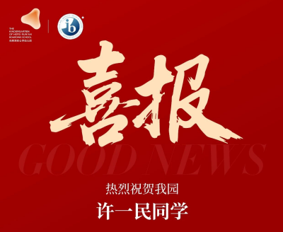 喜报！安徽唯一！全国50强！我园许一民同学荣获全国二等奖！